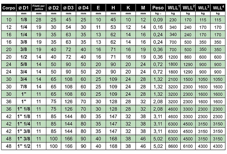 2018 - 2CA Golfari DIN 582 GAS ITA.jpg
