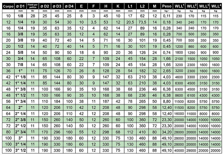 2018 - 1C Golfari DIN 580 GAS ITA.jpg