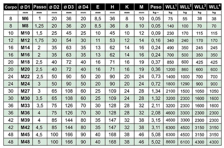 2018 - 2 A Golfari DIN 582 2018 ITA.jpg