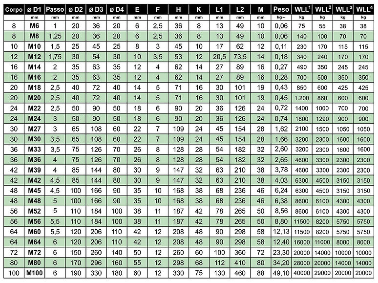 2018 - 1 Golfari DIN 580 2018 ITA.jpg